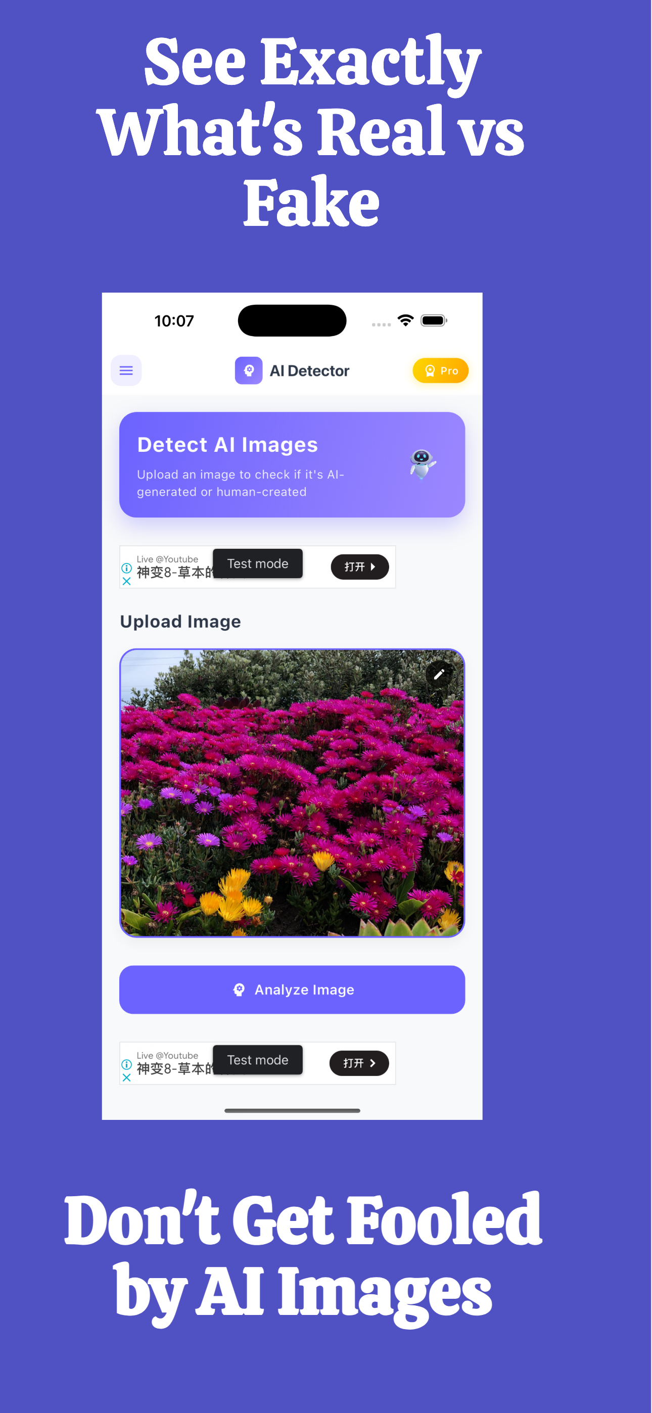 Detection History